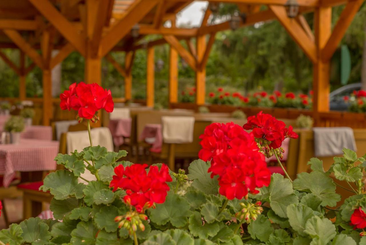 Szilvásvárad Lipicai Hotel Es Etterem מראה חיצוני תמונה